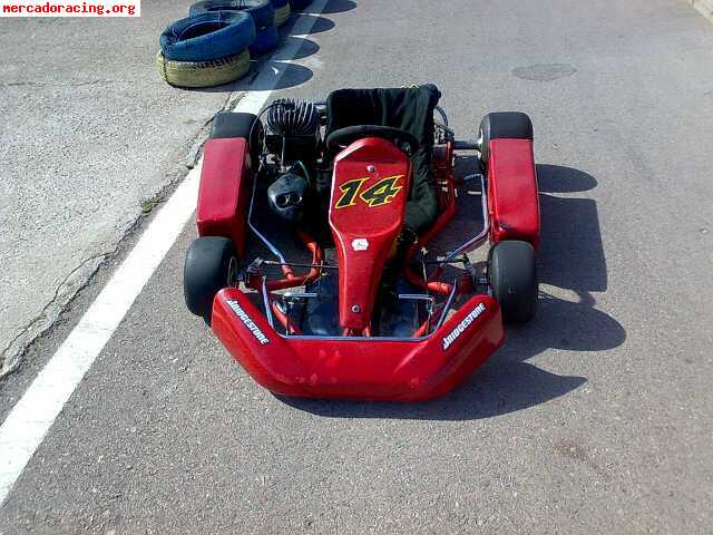 Se vende kart en perfecto estado