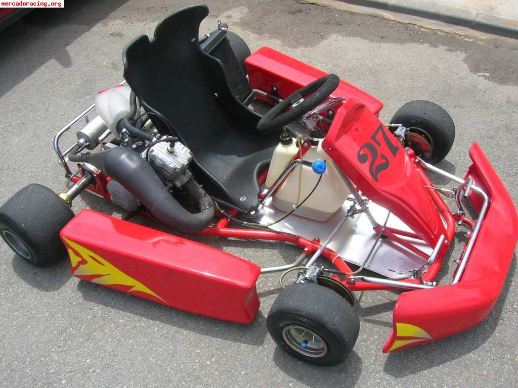 Vendo kart 125 6v 1000 euros urge