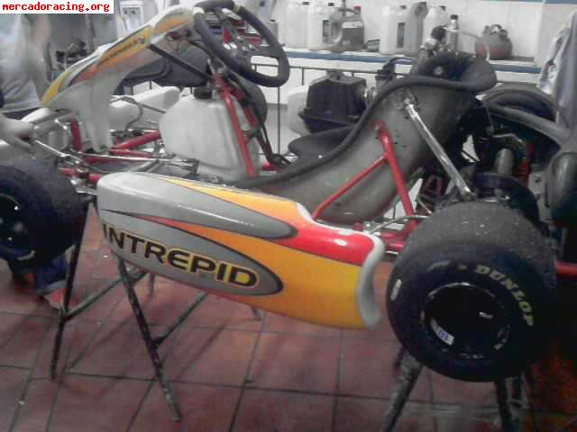 -----1600 euros intrepid,rotax max con precinto --------