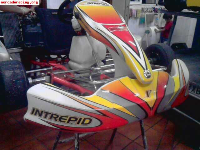 -----1600 euros intrepid,rotax max con precinto --------