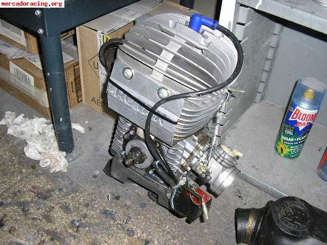Vendo motor rotax 125