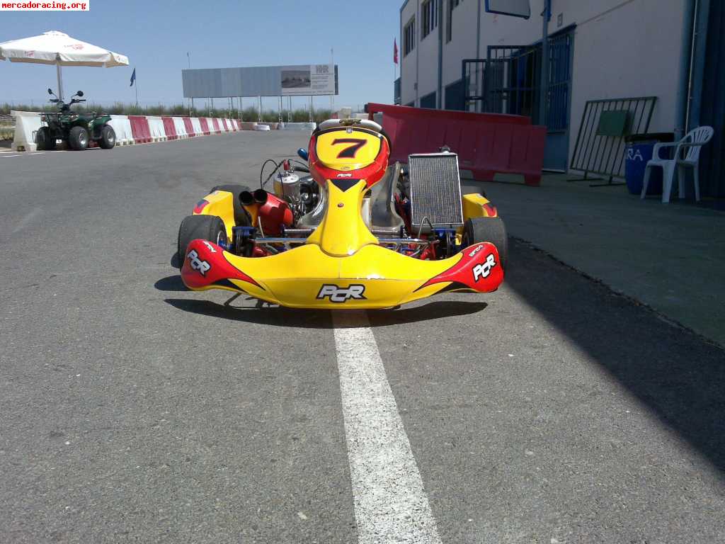 Kart kz2 chasis prc 06 motor tm k9b con circuito pagado hast