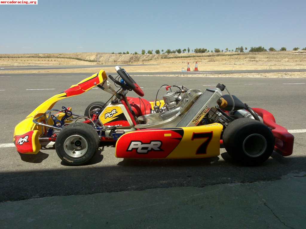 Kart kz2 chasis prc 06 motor tm k9b con circuito pagado hast