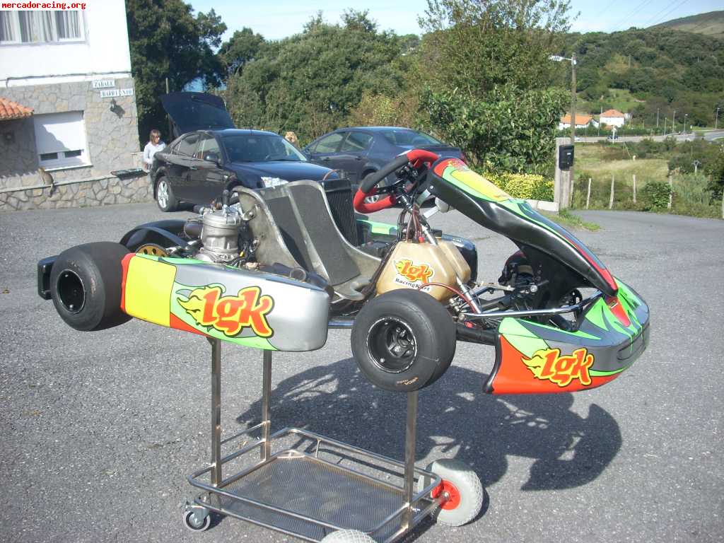 Kart 125 parolin vendo o cambio por coche o bici mtb