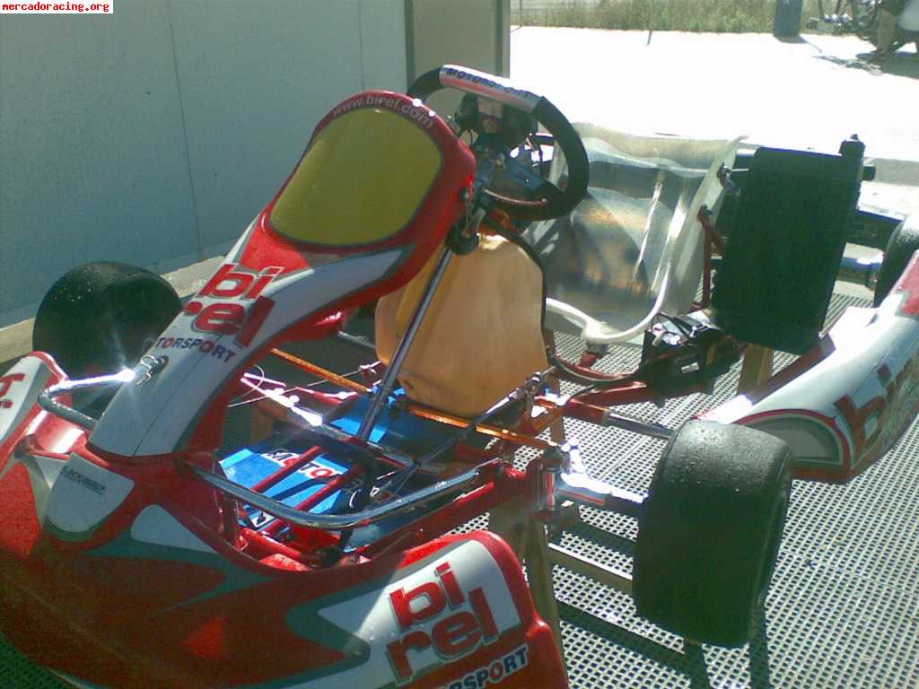 Birel r31 2008 motor x30 arranque electrico