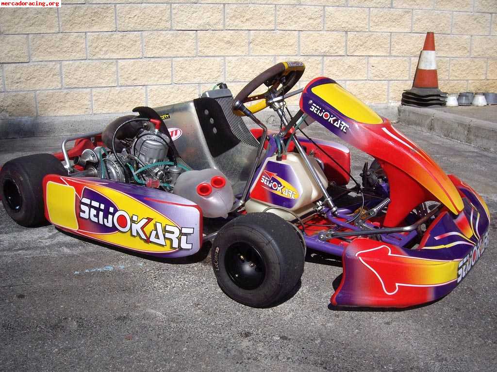 Seijokart 125cc kz2