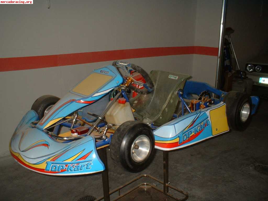 Se vende kart,marca top kart