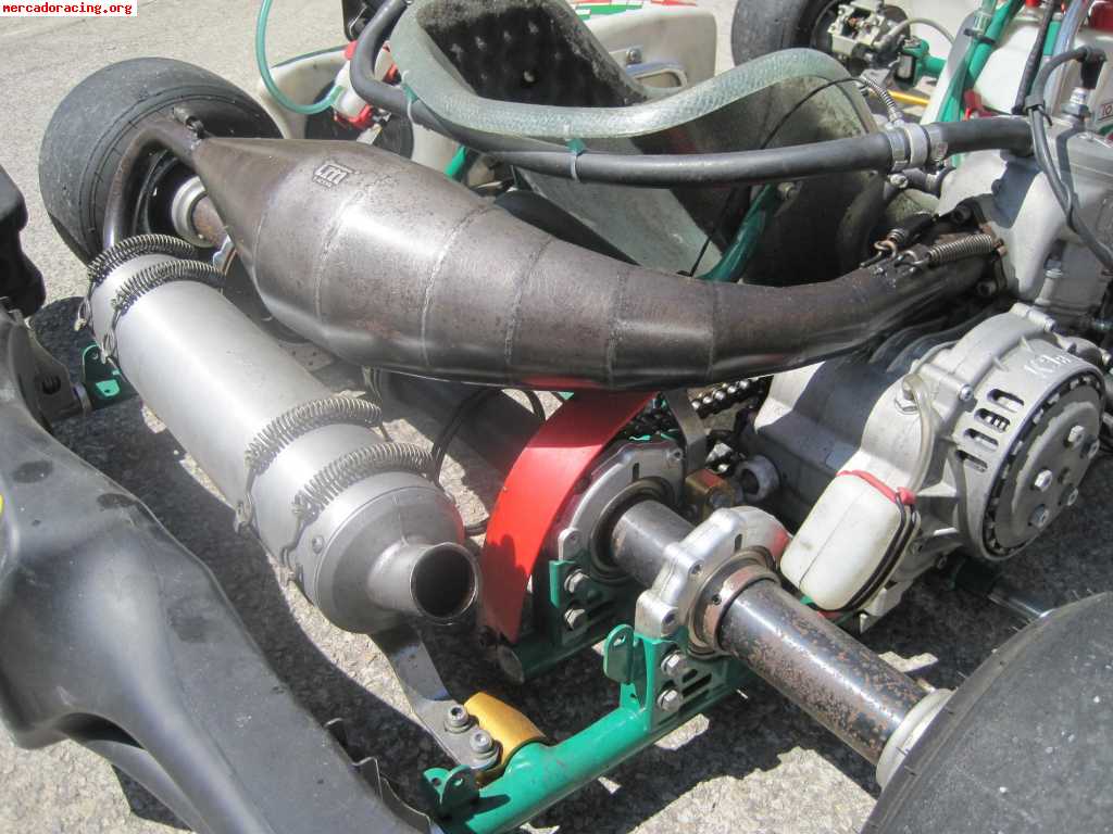 Tony kart   tm 125 k9b