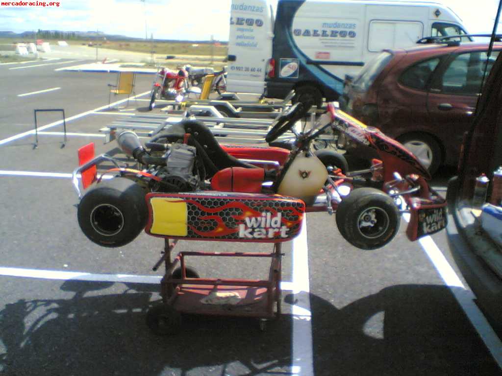 Vendo kart 125 automatico x30