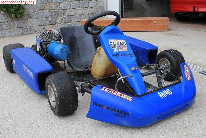 Vendo kart 900€ pontevedra