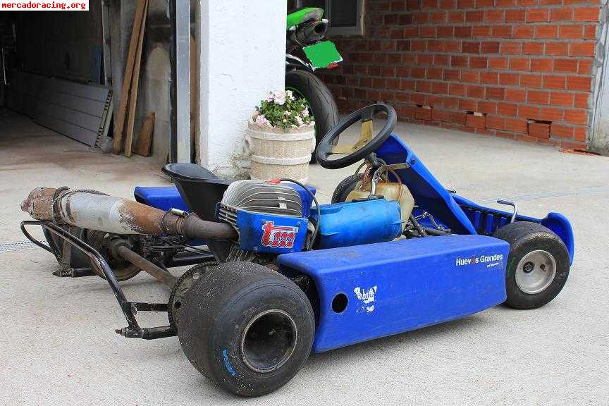 Vendo kart 900€ pontevedra