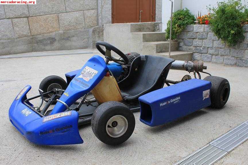 Vendo kart 900€ pontevedra