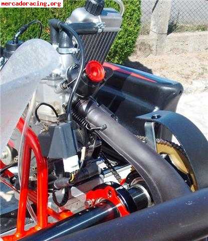 Chasis top kart motor rotax 