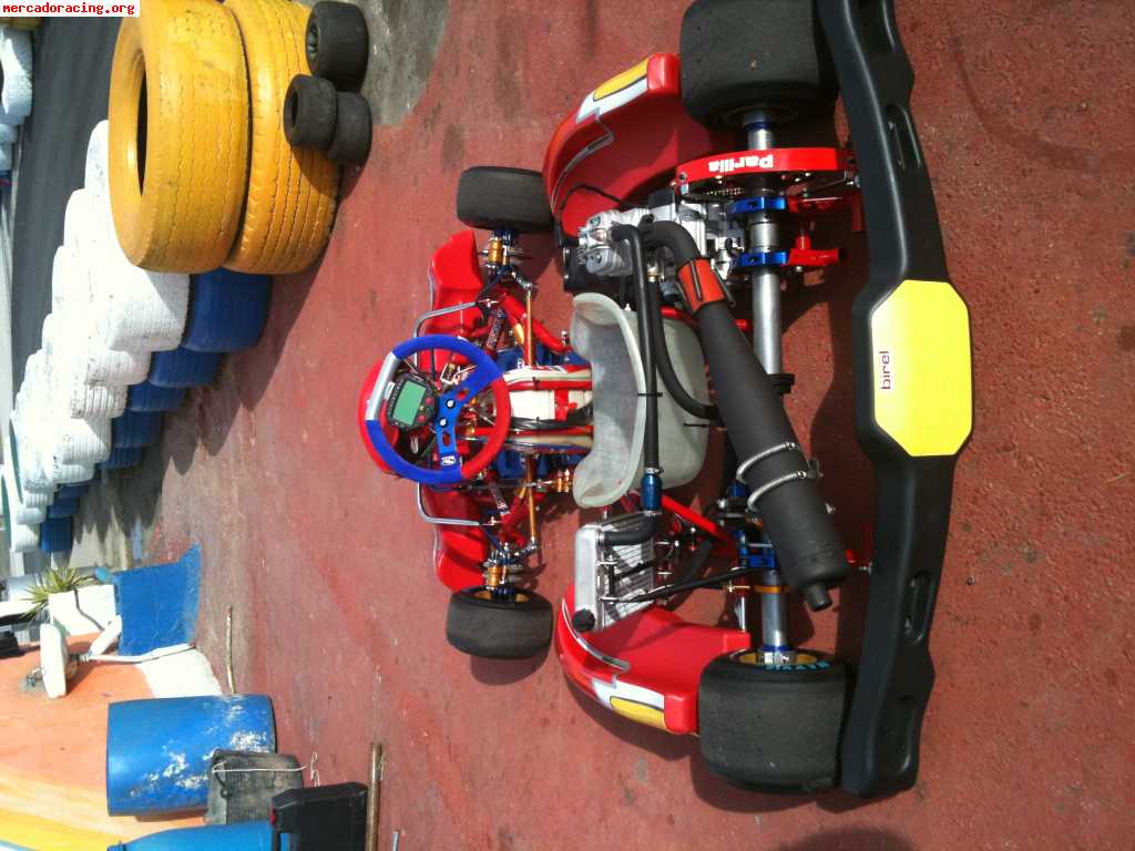 Birel ry31-s1 con frenos delanteros y motor iame x30 (valenc