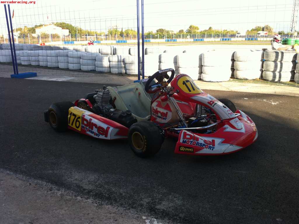 Birel ry31-s1 con frenos delanteros y motor iame x30 (valenc