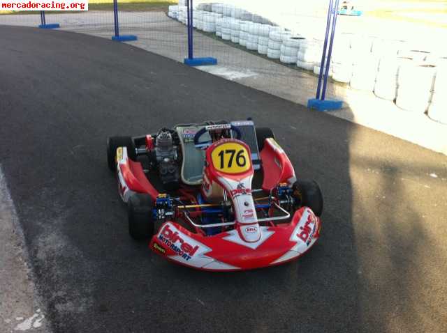 Birel ry31-s1 con frenos delanteros y motor iame x30 (valenc