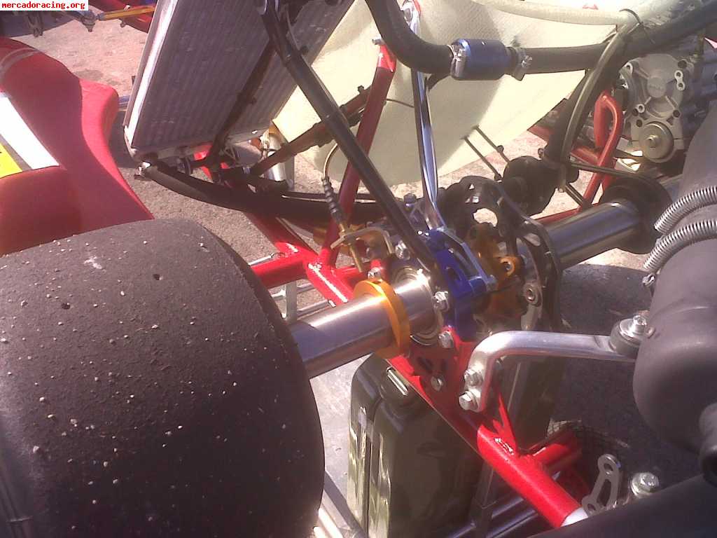 Birel ry31-s1 con frenos delanteros y motor iame x30 (valenc