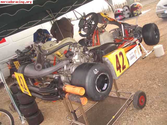 Vendo intrepid explorer7 rotax dd2 (2007)