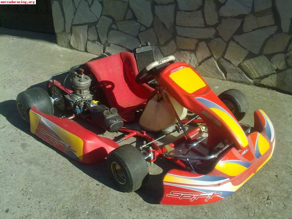 Se vende kart 125c.c