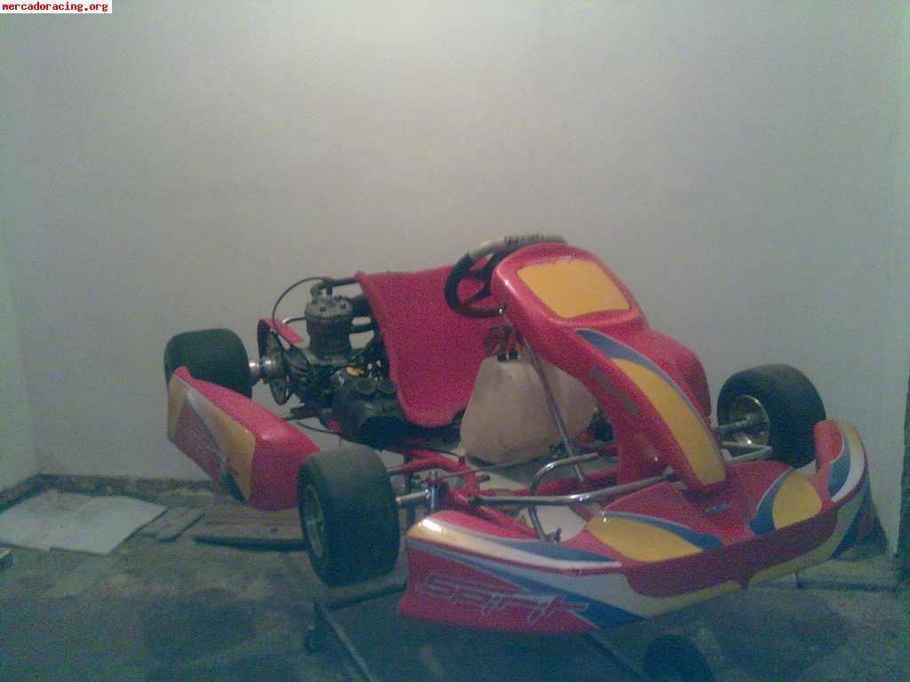 Se vende kart 125c.c