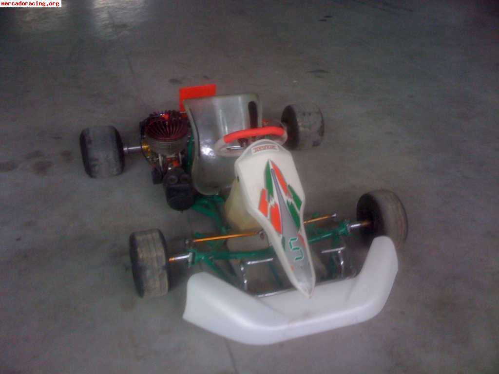 Se vende o se cambia tony kart