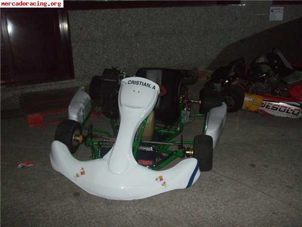 Se vende kart rotax max 125cc