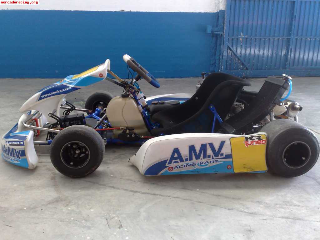 Vendo/cambio kart amv prd fireball