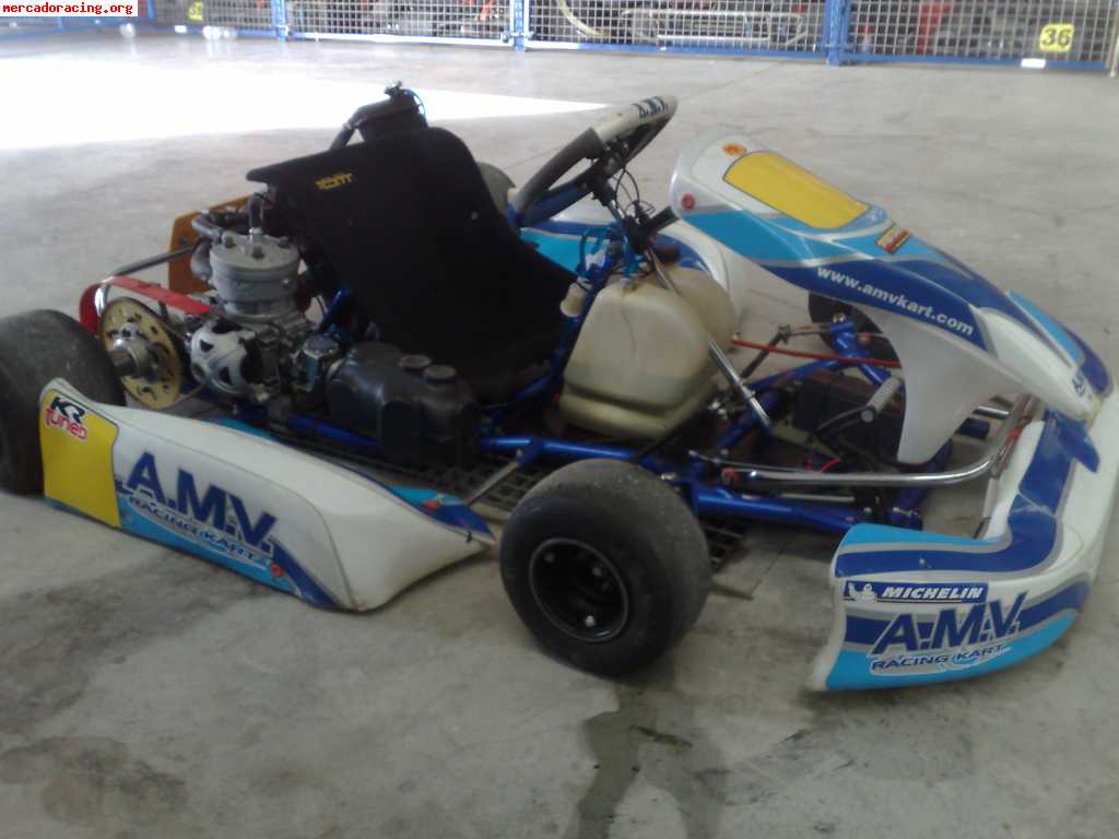 Vendo/cambio kart amv prd fireball