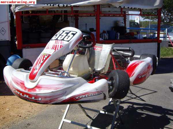 Vendo  trulli  kart con rotax max 125 !