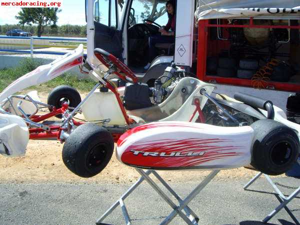 Vendo  trulli  kart con rotax max 125 !