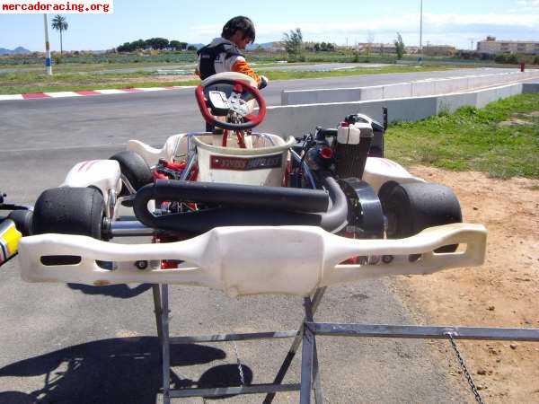 Vendo  trulli  kart con rotax max 125 !