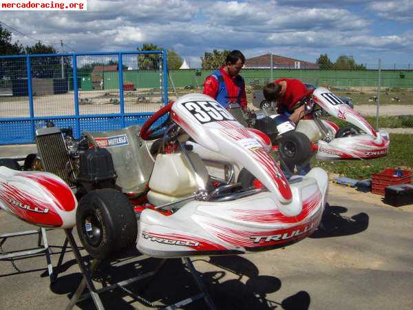 Vendo  trulli  kart con rotax max 125 !