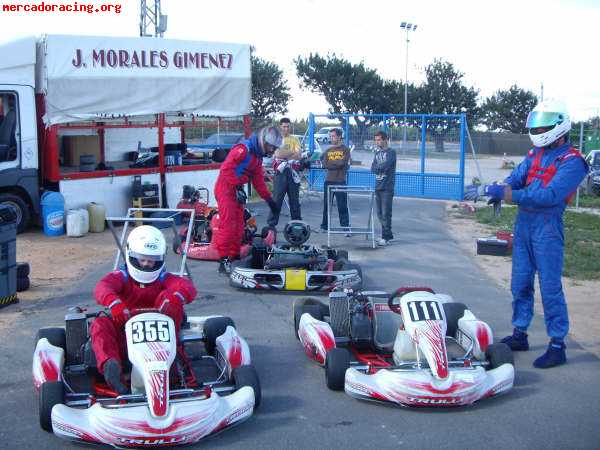 Vendo  trulli  kart con rotax max 125 !