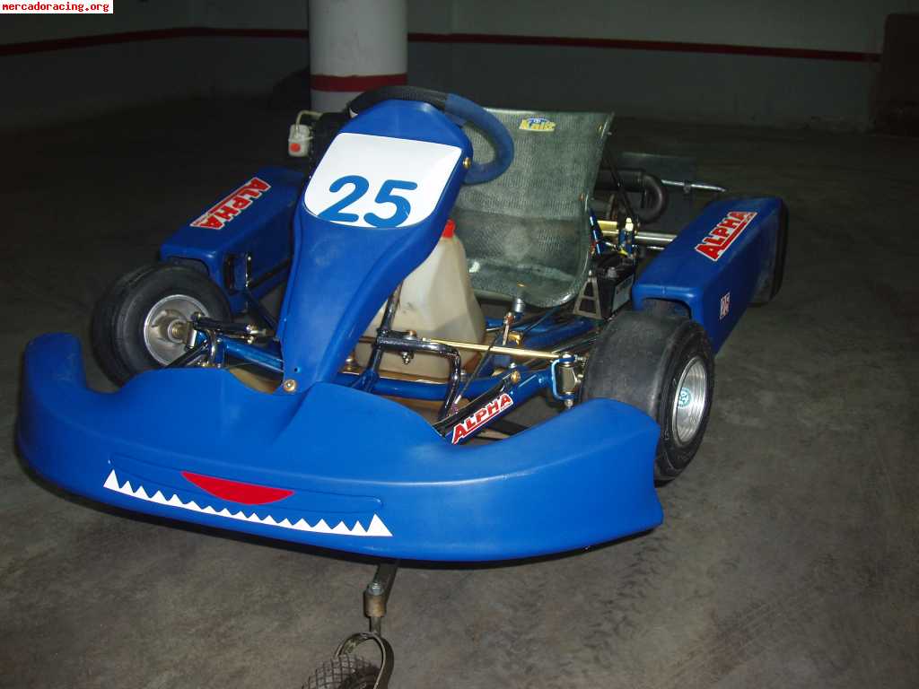 Alpha kart rotax