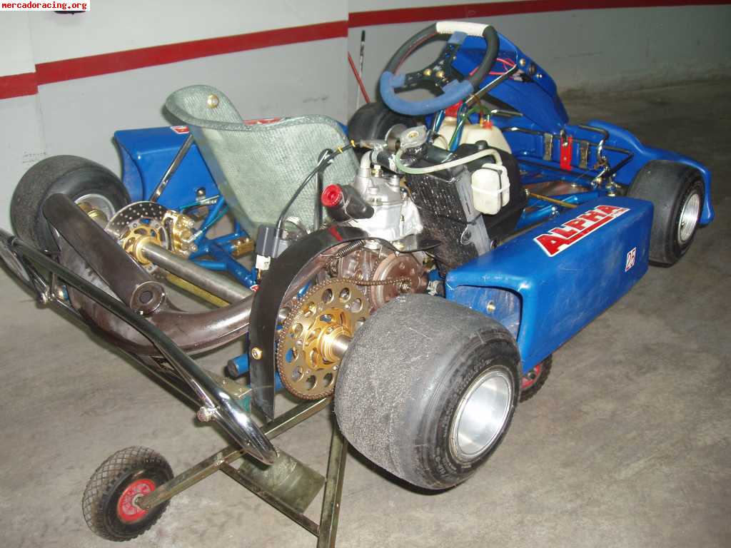 Alpha kart rotax