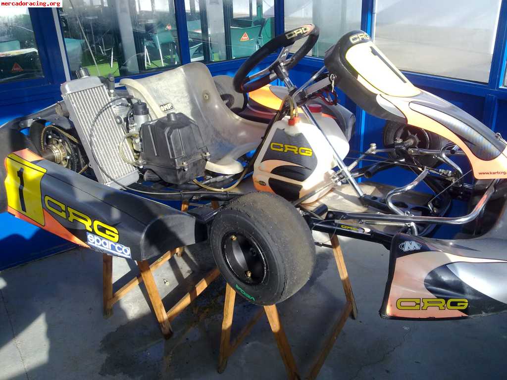 Vendo  kart crg