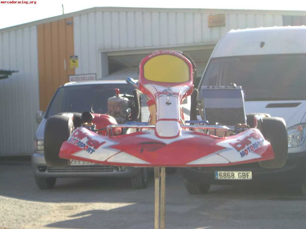Birel 2009 kz