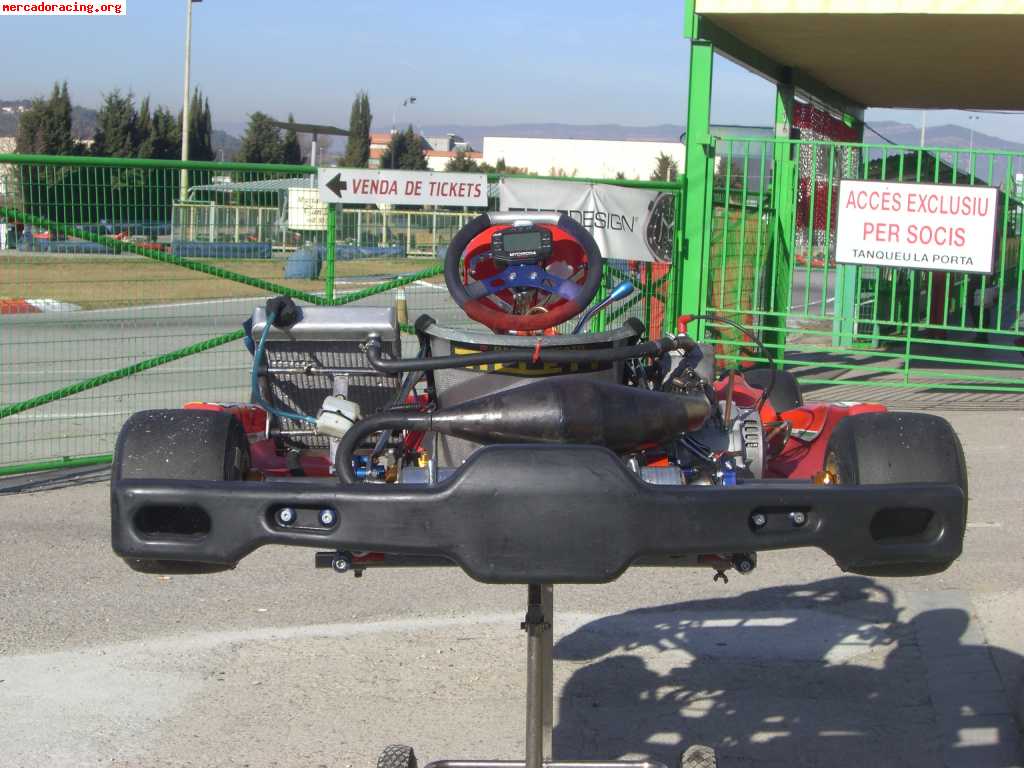 Birel 2009 kz