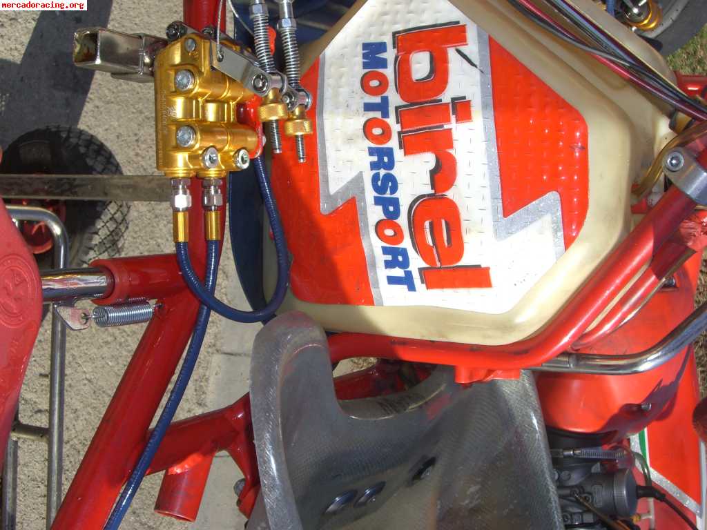 Birel kz 2009