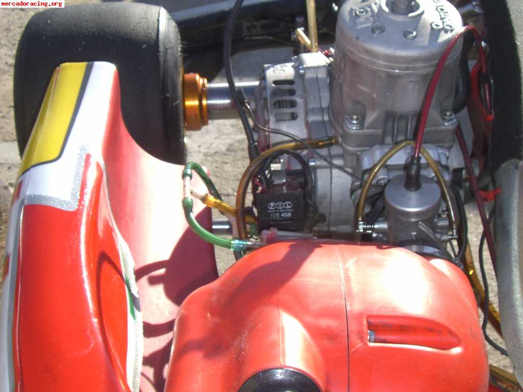 Birel kz 2009