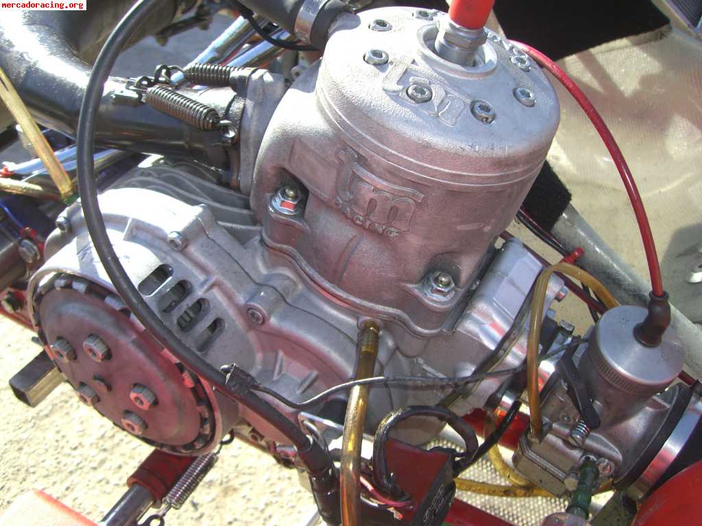 Birel kz 2009