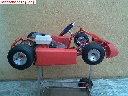 Birel baby kart