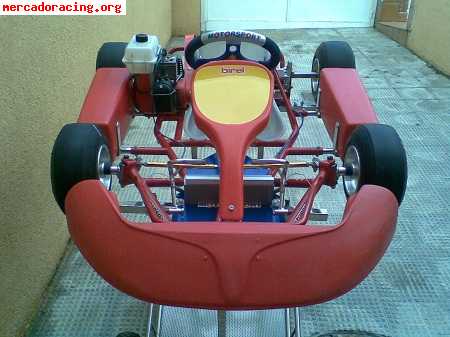 Birel baby kart