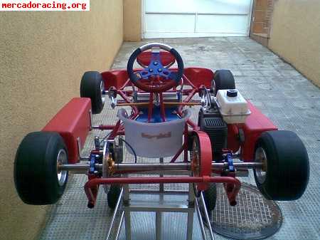 Birel baby kart