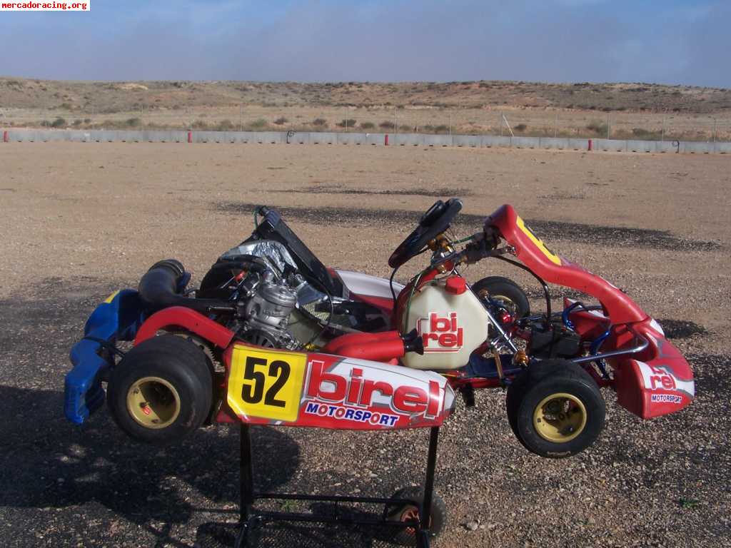 Birel r-31