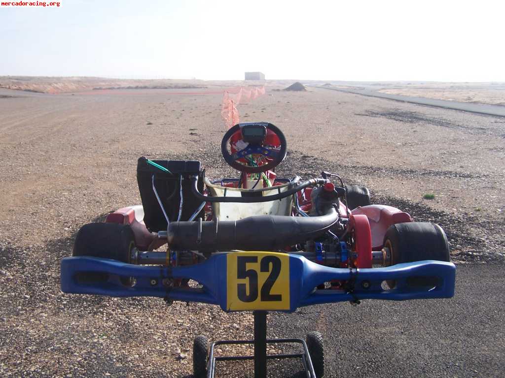 Birel r-31