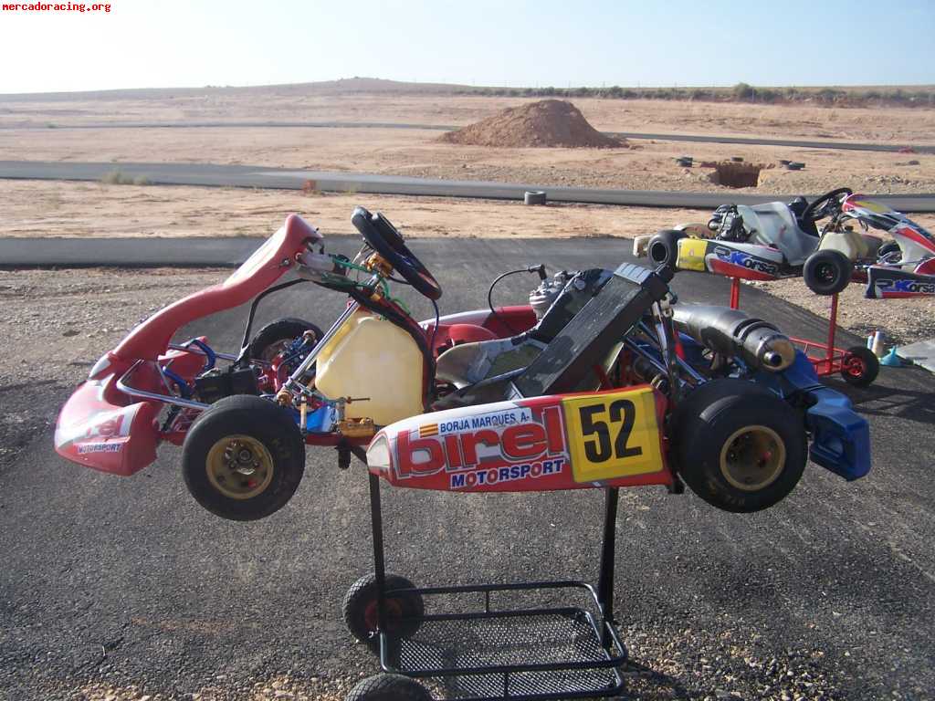 Birel r-31