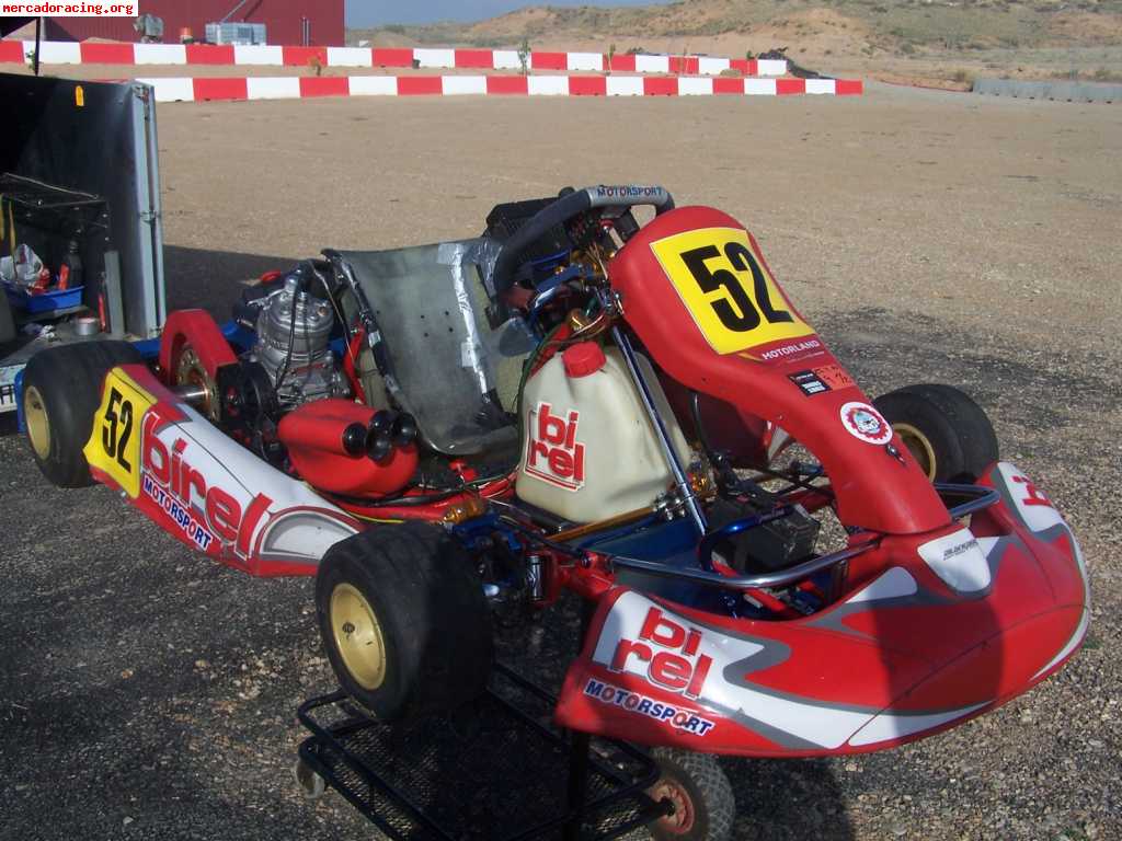 Birel r-31