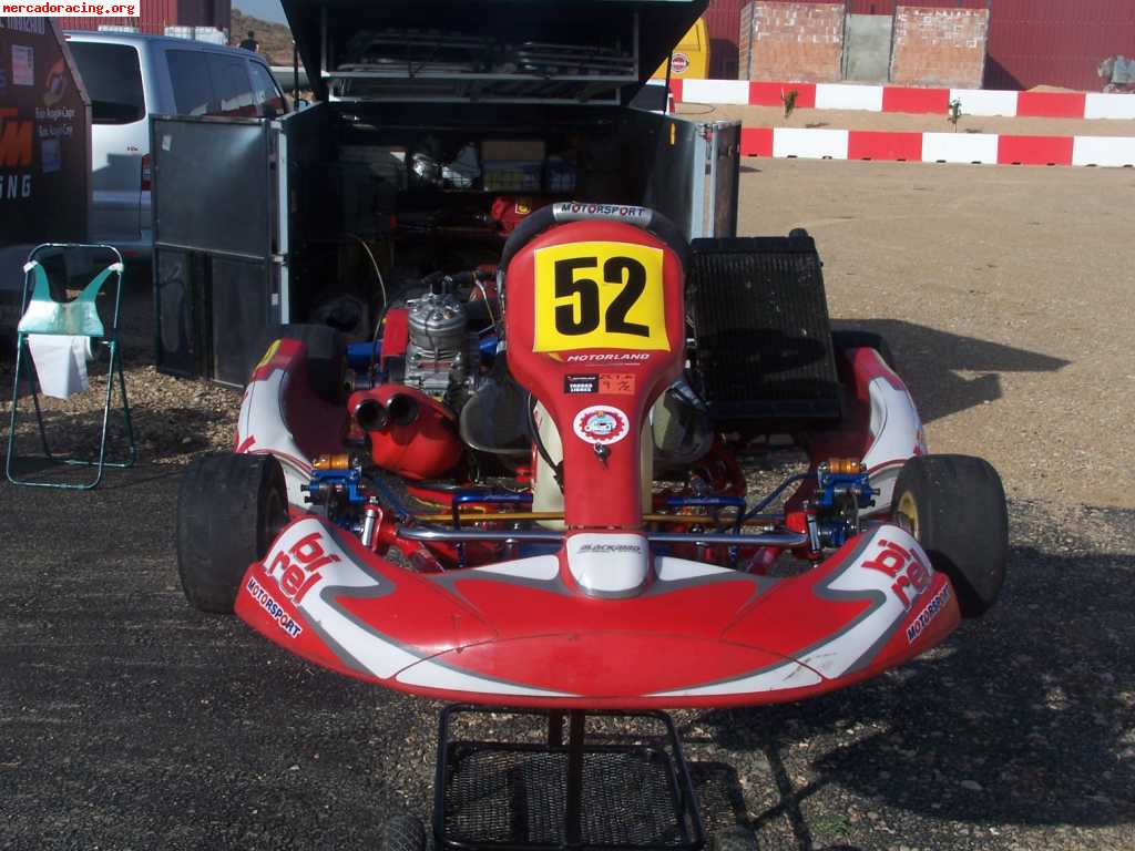 Birel r-31