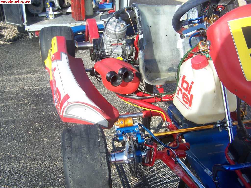 Birel r-31